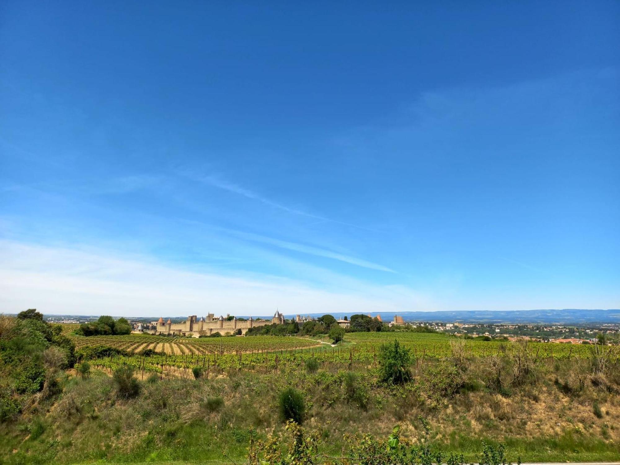 Gite With Private Jacuzzi, Shiatsu & Healthy Food Ladern-sur-Lauquet Eksteriør bilde