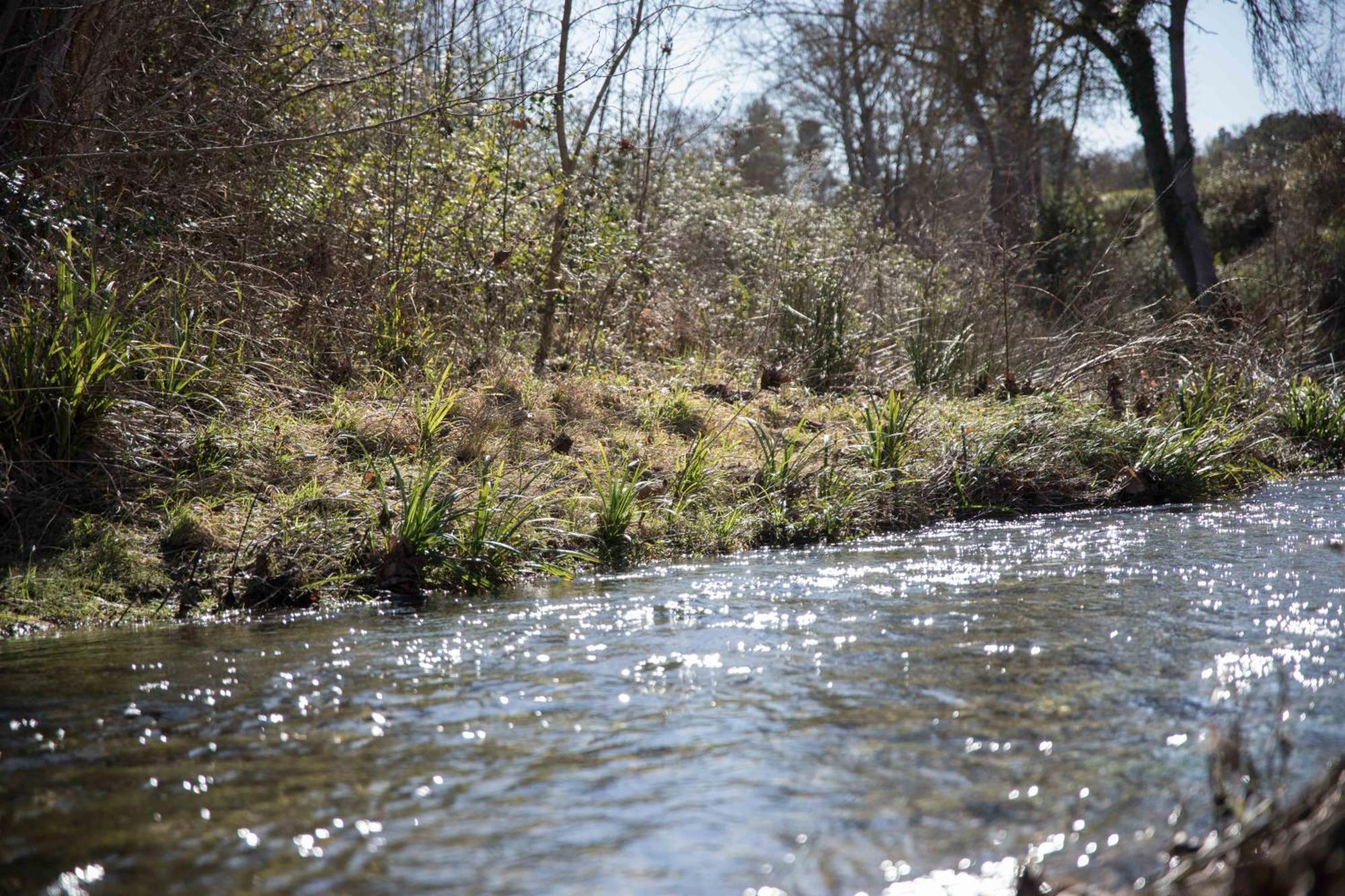 Gite With Private Jacuzzi, Shiatsu & Healthy Food Ladern-sur-Lauquet Eksteriør bilde