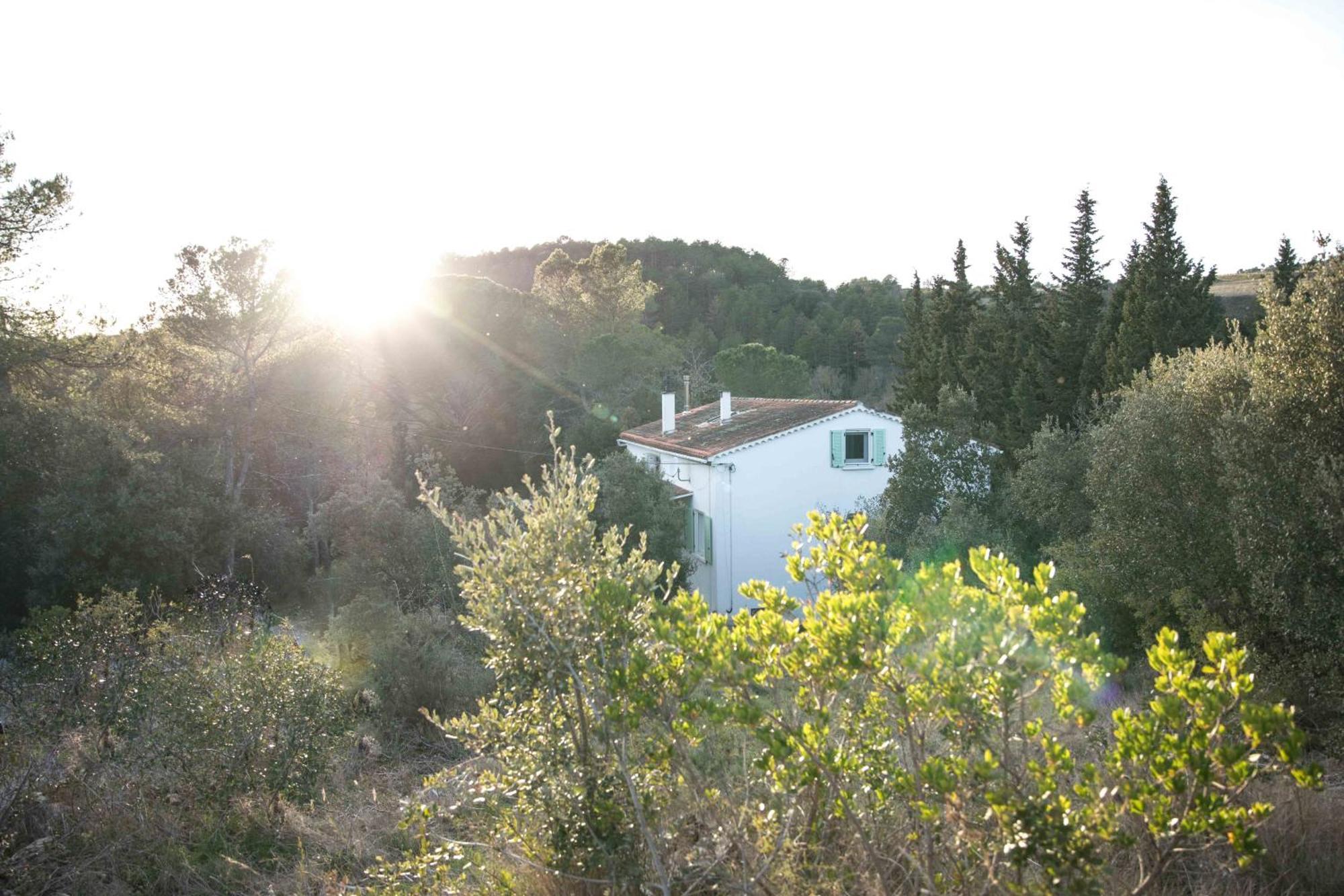 Gite With Private Jacuzzi, Shiatsu & Healthy Food Ladern-sur-Lauquet Eksteriør bilde